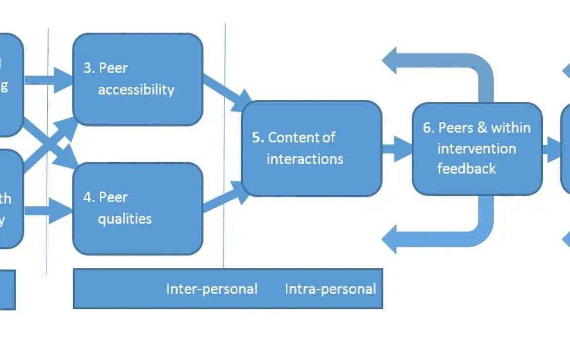 Diagram showing key features to consider for successful breastfeeding peer support