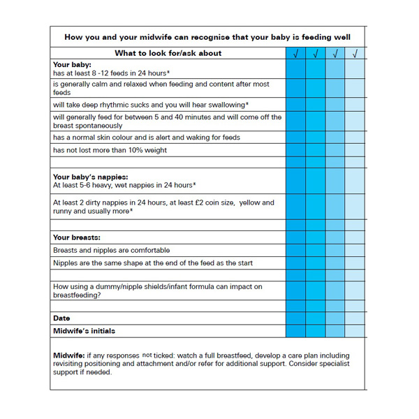 home health care audit checklist