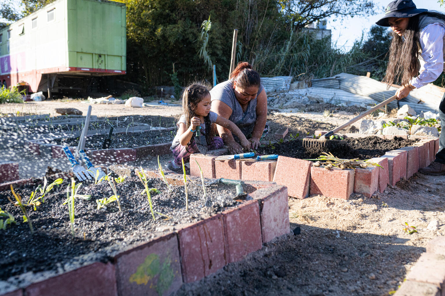 A mother and her daughter are planting lettuces in the community garden.
